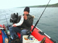 Май-июль в заливе - отличная рыбалка "на дорожку"